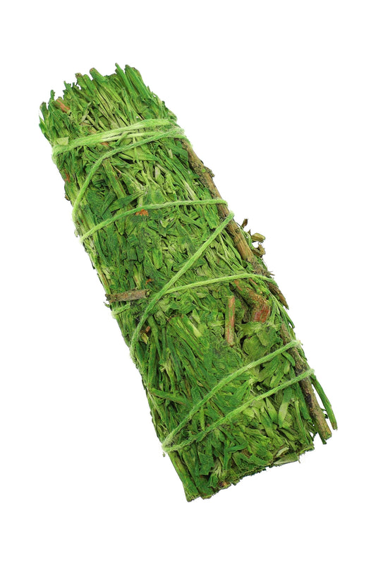 4″ Green-Colored Blue Sage Smudge Bundle